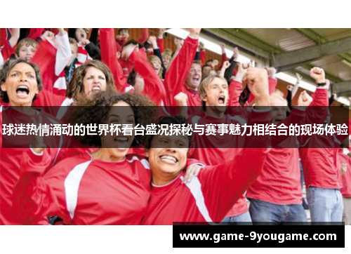球迷热情涌动的世界杯看台盛况探秘与赛事魅力相结合的现场体验