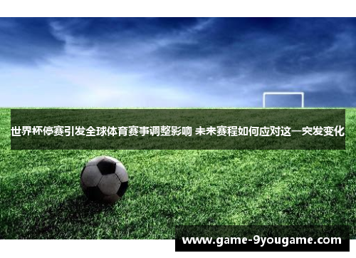 世界杯停赛引发全球体育赛事调整影响 未来赛程如何应对这一突发变化