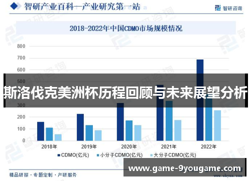 斯洛伐克美洲杯历程回顾与未来展望分析