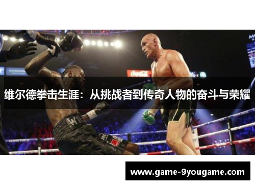 维尔德拳击生涯：从挑战者到传奇人物的奋斗与荣耀